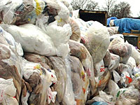 Plastic Recycling